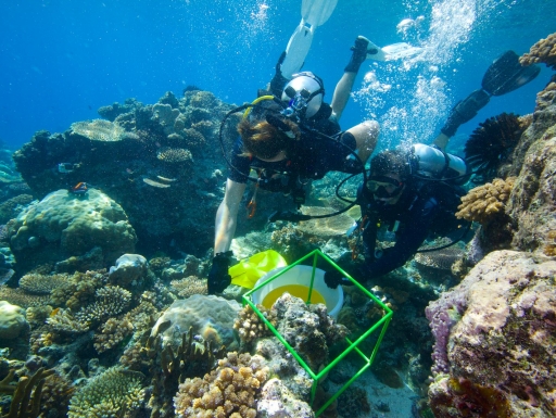 Biocube researchers in the Solomon Islands (Photograph by David Liittschwager)