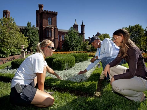 interns in the garden looking at plants at the Smithsonian Castle, Washington D.C.