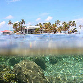 Caribbean Coral Reef Ecosystems Program