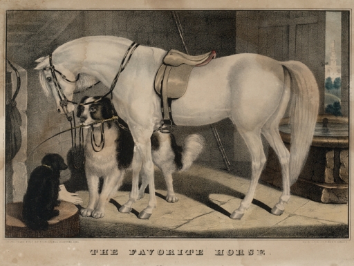 lithograph of horse with dogs.