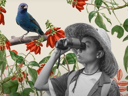 woman holding binoculars with a bird illustration in the background
