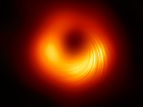 Supermassive Black Hole Magnetic Field