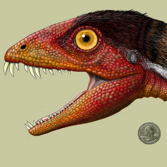 Rendering of Daemonosaurus chauliodus