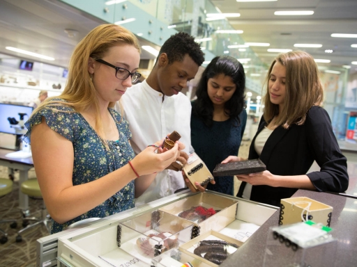 students examining interesting artifacts