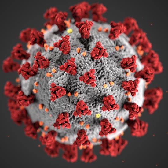 corona virus.
