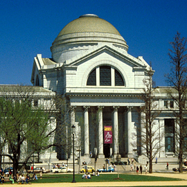 Natural History Museum on iTunes U