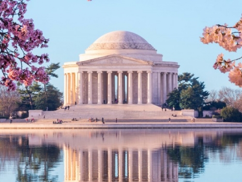 cherry blossoms and Jefferson Memorial.